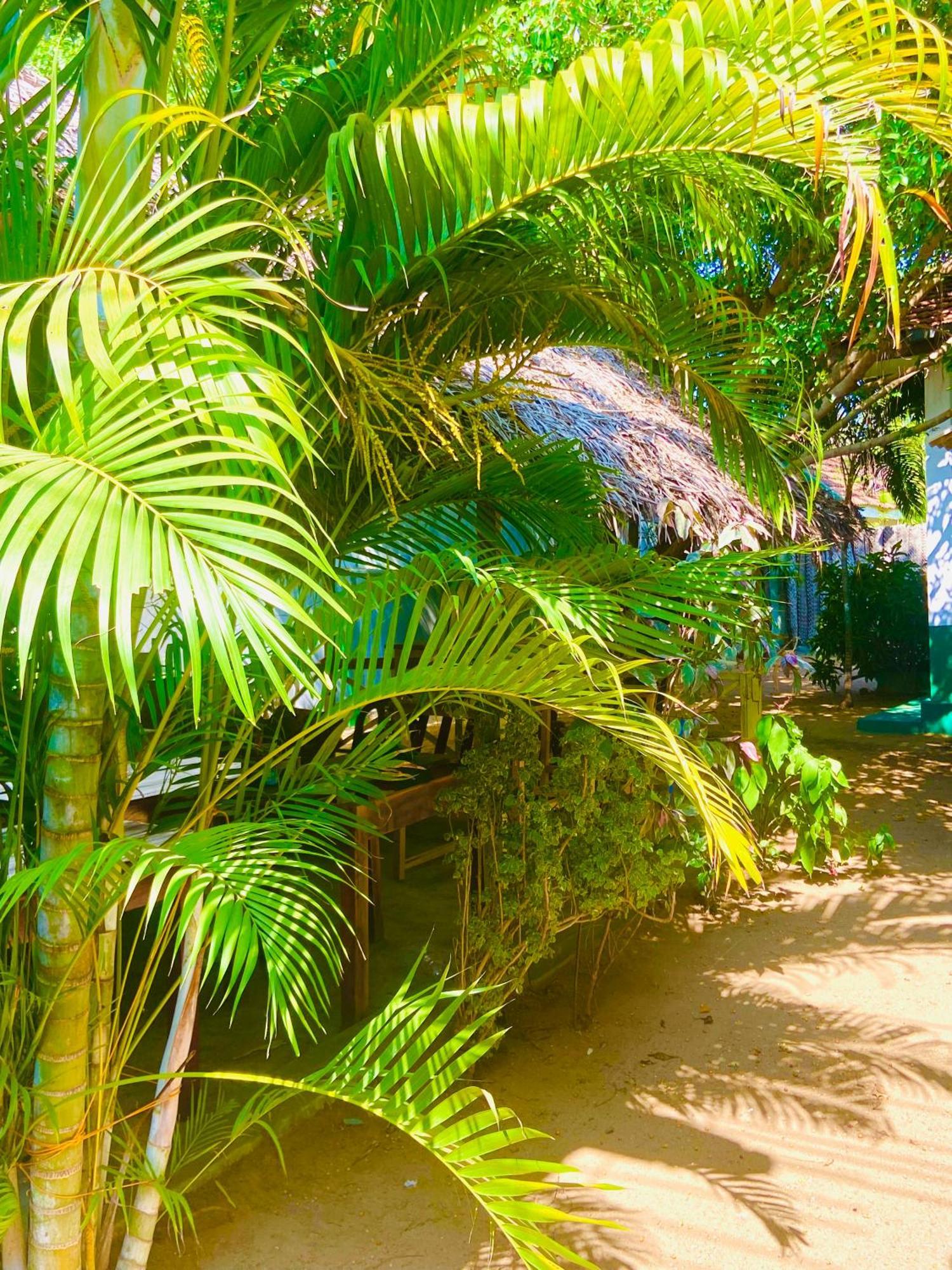 Marina Way Hotel Arugam Bay Exterior photo