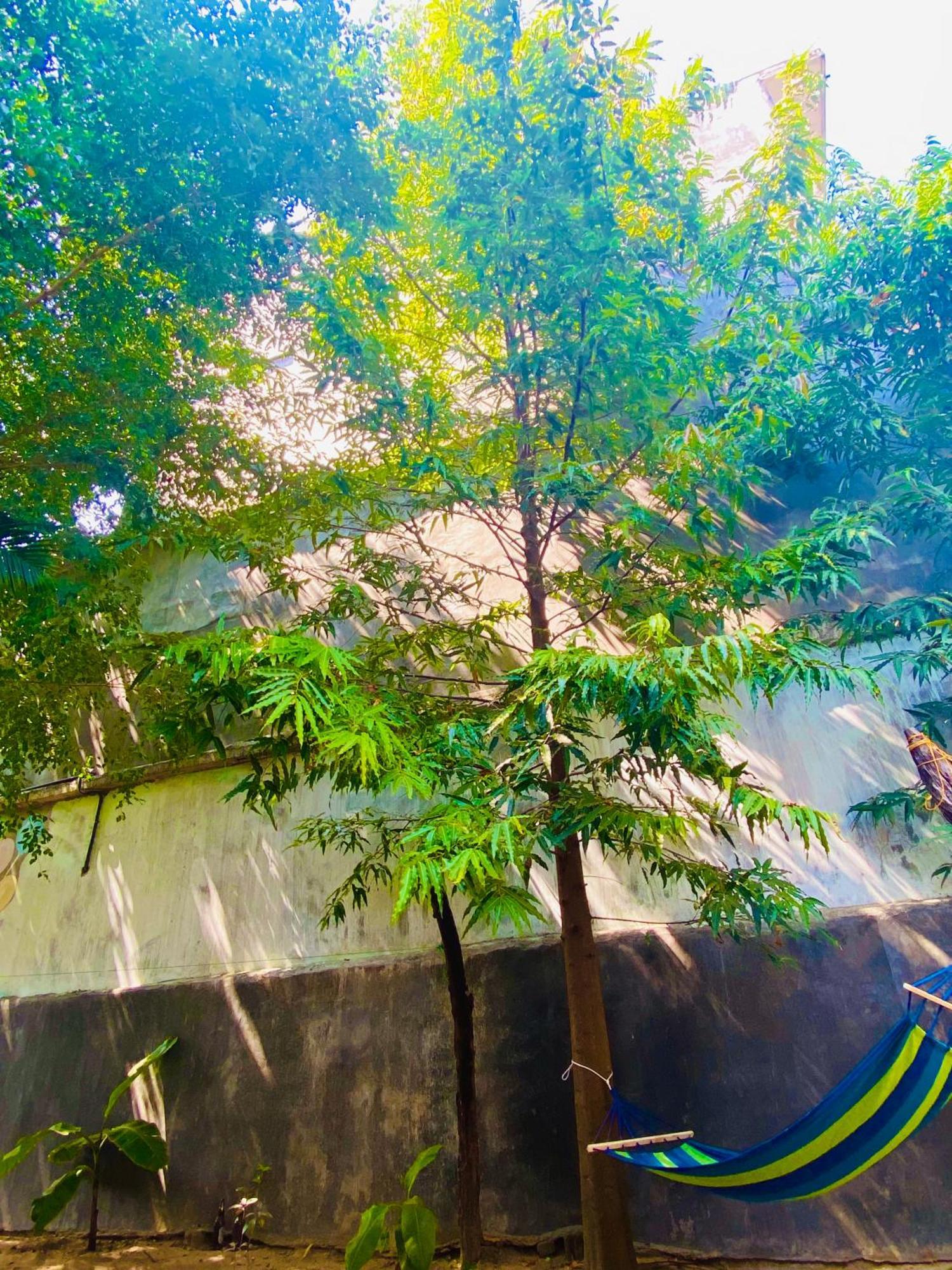 Marina Way Hotel Arugam Bay Exterior photo